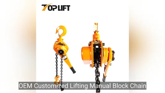 OEM Customized Lifting Manual Block Chain Hoist Pulley Lever Block 