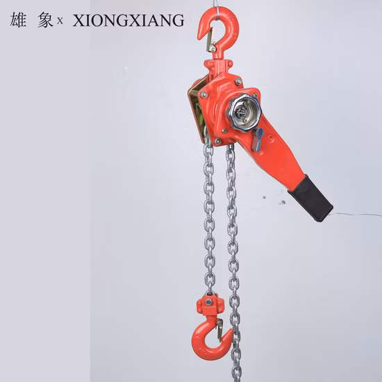 Hsh Chain Hand Lever Hoist Pulley Block Accept Customization 