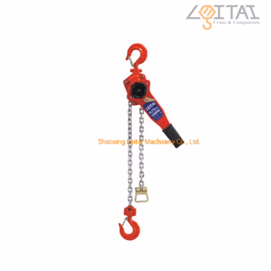 9 Ton Professional Manufacturer Pulley Leve Block 