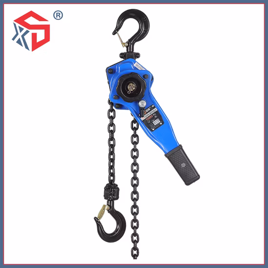 1 Ton Construction Hoist Chain Pulley Block Chain Block 